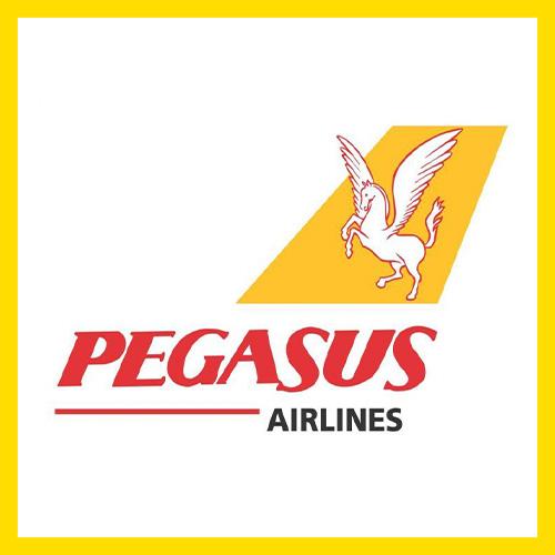 PEGASUS